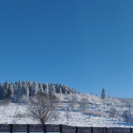 Appartamento Перлина Карпат Skhidnytsia Esterno foto